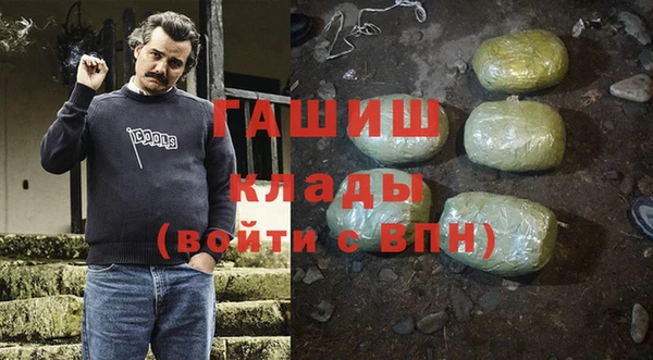 шишки Верея