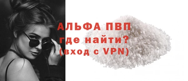 шишки Верея