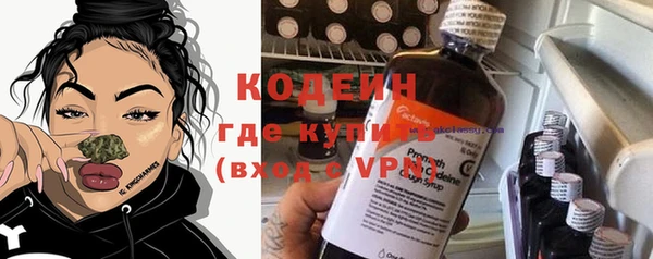 шишки Верея