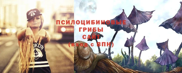 шишки Верея